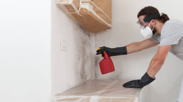 Professional Crawl Space Mold Removal technician working in Hamilton, IL