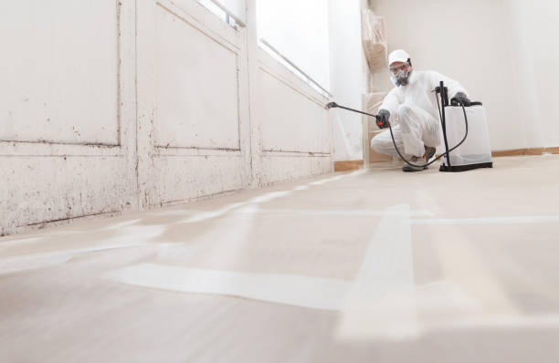 24/7 Emergency Crawl Space Mold Removal experts in Hamilton, IL